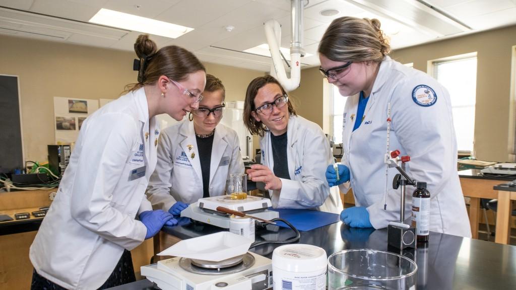 Students and faculty conduct research in a Pharmacy lab