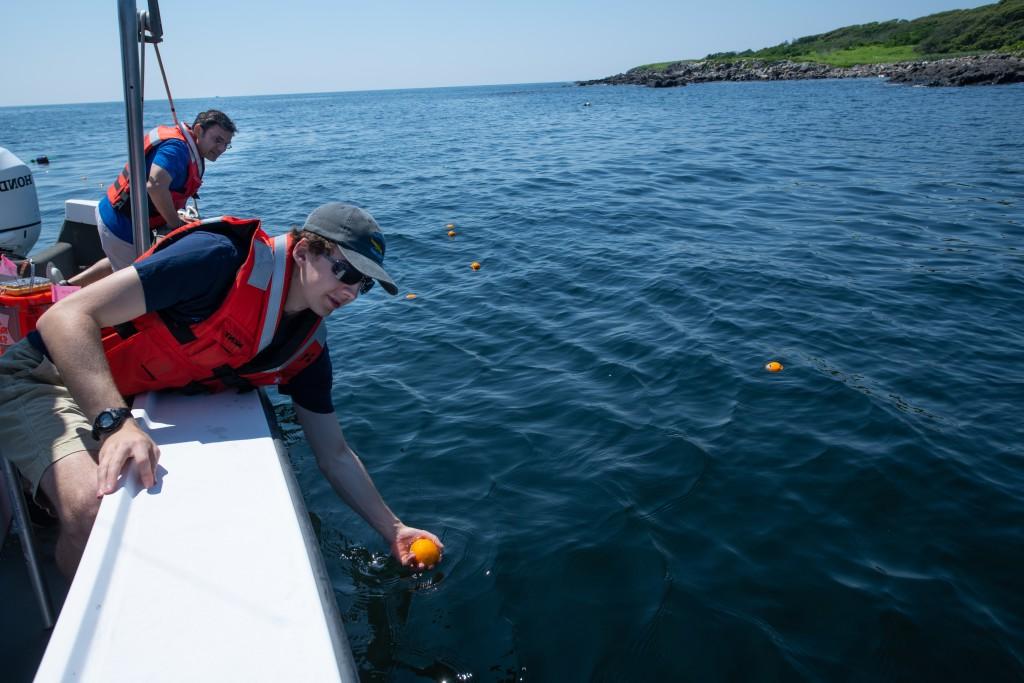 Andy Robinson (M.S. Marine 科学s, ’21) places oranges in the water in Biddeford Pool to track surface current movements.