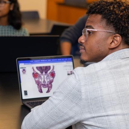 A student in a classroom has an anatomical image on their laptop screen
