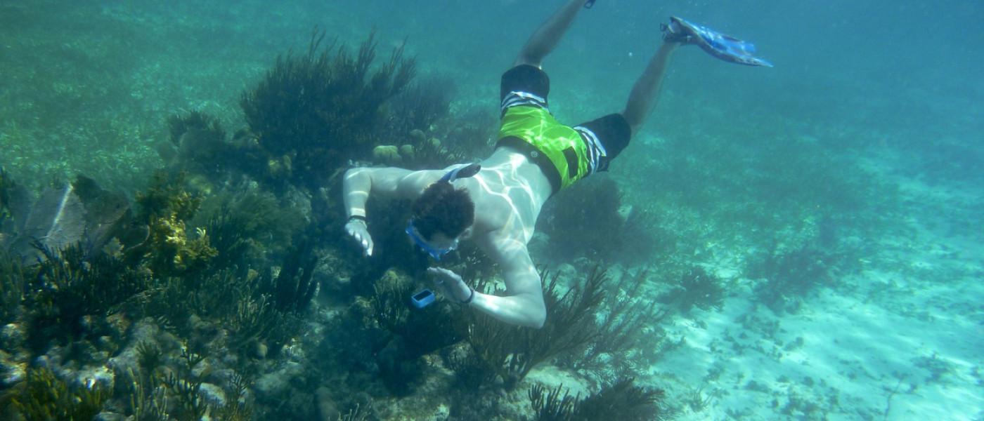 Snorkeling in Belize 2019
